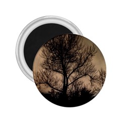 Tree Bushes Black Nature Landscape 2 25  Magnets by BangZart