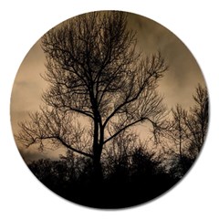 Tree Bushes Black Nature Landscape Magnet 5  (round) by BangZart