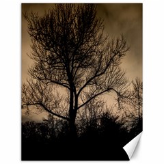 Tree Bushes Black Nature Landscape Canvas 12  X 16   by BangZart