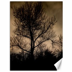 Tree Bushes Black Nature Landscape Canvas 36  X 48   by BangZart