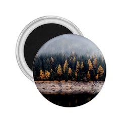 Trees Plants Nature Forests Lake 2 25  Magnets by BangZart