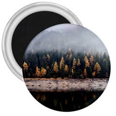 Trees Plants Nature Forests Lake 3  Magnets by BangZart