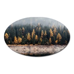 Trees Plants Nature Forests Lake Oval Magnet by BangZart