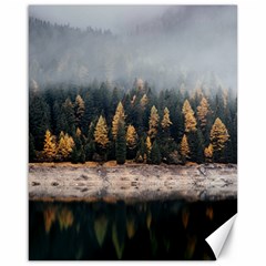 Trees Plants Nature Forests Lake Canvas 16  X 20   by BangZart