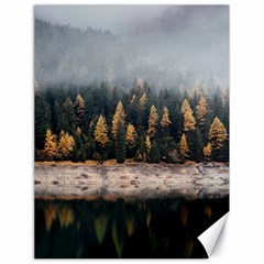 Trees Plants Nature Forests Lake Canvas 18  X 24   by BangZart