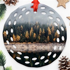 Trees Plants Nature Forests Lake Ornament (round Filigree) by BangZart