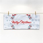 Merry Christmas Christmas Greeting Cosmetic Storage Cases Front