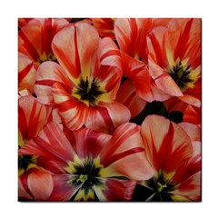 Tulips Flowers Spring Tile Coasters by BangZart