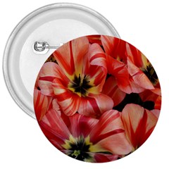 Tulips Flowers Spring 3  Buttons by BangZart