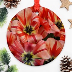 Tulips Flowers Spring Ornament (round) by BangZart