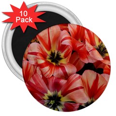 Tulips Flowers Spring 3  Magnets (10 Pack)  by BangZart