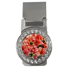 Tulips Flowers Spring Money Clips (cz)  by BangZart