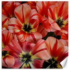 Tulips Flowers Spring Canvas 12  X 12   by BangZart