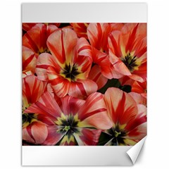 Tulips Flowers Spring Canvas 12  X 16   by BangZart