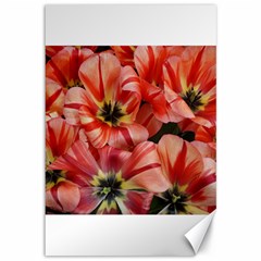 Tulips Flowers Spring Canvas 12  X 18   by BangZart