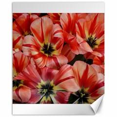 Tulips Flowers Spring Canvas 16  X 20   by BangZart