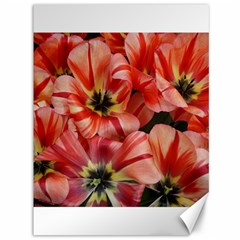 Tulips Flowers Spring Canvas 36  X 48   by BangZart