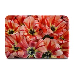 Tulips Flowers Spring Plate Mats by BangZart