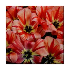 Tulips Flowers Spring Face Towel by BangZart