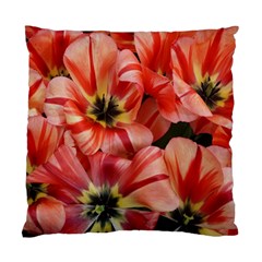 Tulips Flowers Spring Standard Cushion Case (one Side) by BangZart