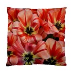 Tulips Flowers Spring Standard Cushion Case (One Side) Front