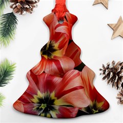 Tulips Flowers Spring Christmas Tree Ornament (two Sides) by BangZart