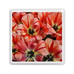 Tulips Flowers Spring Memory Card Reader (square)  by BangZart