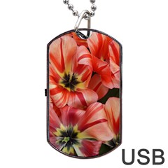 Tulips Flowers Spring Dog Tag Usb Flash (two Sides) by BangZart