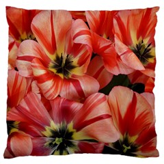 Tulips Flowers Spring Large Cushion Case (one Side) by BangZart