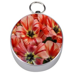 Tulips Flowers Spring Silver Compasses by BangZart