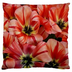 Tulips Flowers Spring Large Flano Cushion Case (one Side) by BangZart