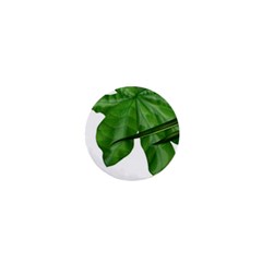 Plant Berry Leaves Green Flower 1  Mini Buttons by BangZart