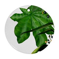 Plant Berry Leaves Green Flower Ornament (round) by BangZart