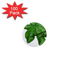 Plant Berry Leaves Green Flower 1  Mini Magnets (100 Pack)  by BangZart