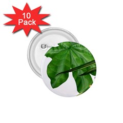 Plant Berry Leaves Green Flower 1 75  Buttons (10 Pack) by BangZart