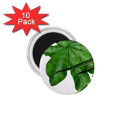 Plant Berry Leaves Green Flower 1 75  Magnets (10 Pack)  by BangZart