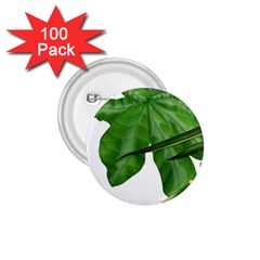 Plant Berry Leaves Green Flower 1 75  Buttons (100 Pack)  by BangZart