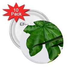 Plant Berry Leaves Green Flower 2 25  Buttons (10 Pack)  by BangZart