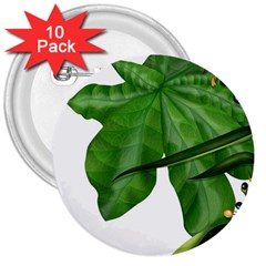 Plant Berry Leaves Green Flower 3  Buttons (10 Pack)  by BangZart