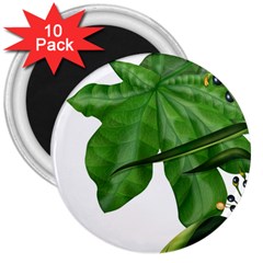 Plant Berry Leaves Green Flower 3  Magnets (10 Pack)  by BangZart