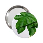 Plant Berry Leaves Green Flower 2.25  Handbag Mirrors Front