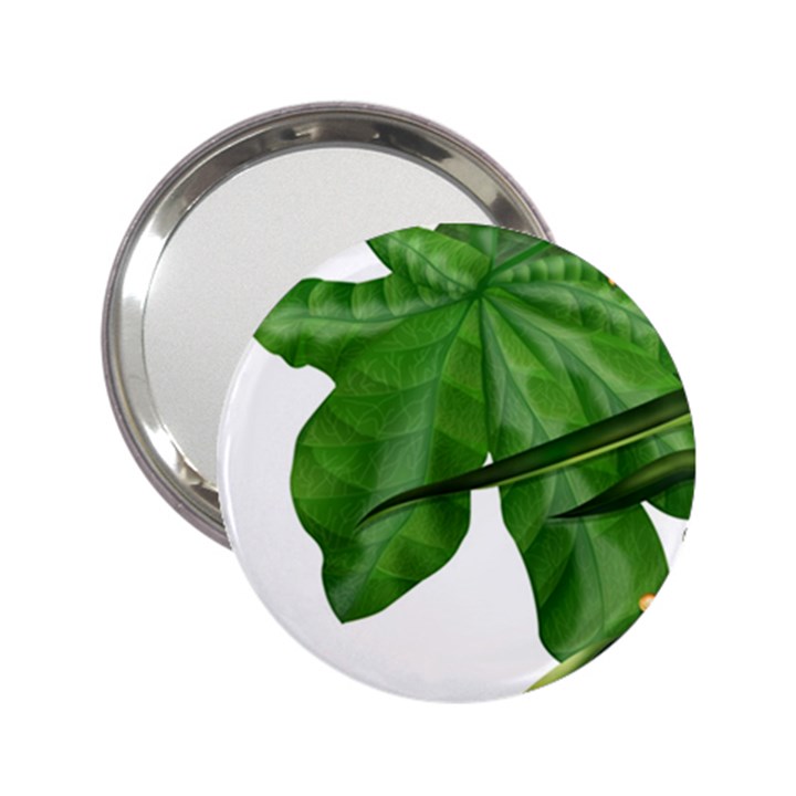 Plant Berry Leaves Green Flower 2.25  Handbag Mirrors