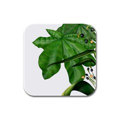 Plant Berry Leaves Green Flower Rubber Square Coaster (4 Pack)  by BangZart