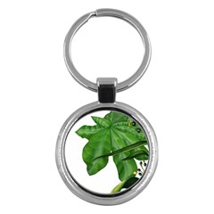 Plant Berry Leaves Green Flower Key Chains (round)  by BangZart