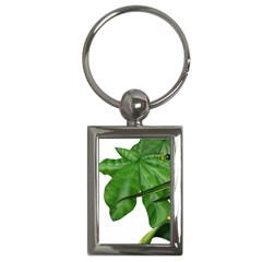 Plant Berry Leaves Green Flower Key Chains (rectangle)  by BangZart