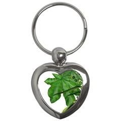 Plant Berry Leaves Green Flower Key Chains (heart)  by BangZart