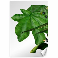 Plant Berry Leaves Green Flower Canvas 20  X 30   by BangZart