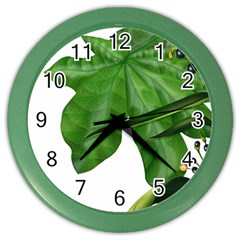 Plant Berry Leaves Green Flower Color Wall Clocks by BangZart