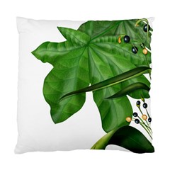 Plant Berry Leaves Green Flower Standard Cushion Case (two Sides) by BangZart