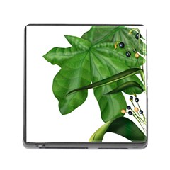 Plant Berry Leaves Green Flower Memory Card Reader (square) by BangZart